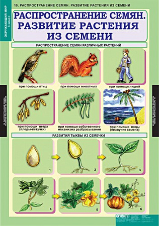 Окружающий мир 3 кл.