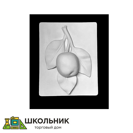 Ветка Яблони