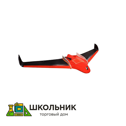 БЛА самолетного типа Phoenix 4 Multi 2
