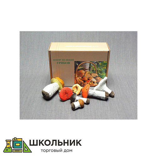 Набор муляжей грибов №1